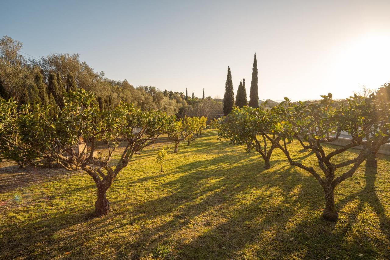 Finca Montana Sant Joan Eksteriør bilde